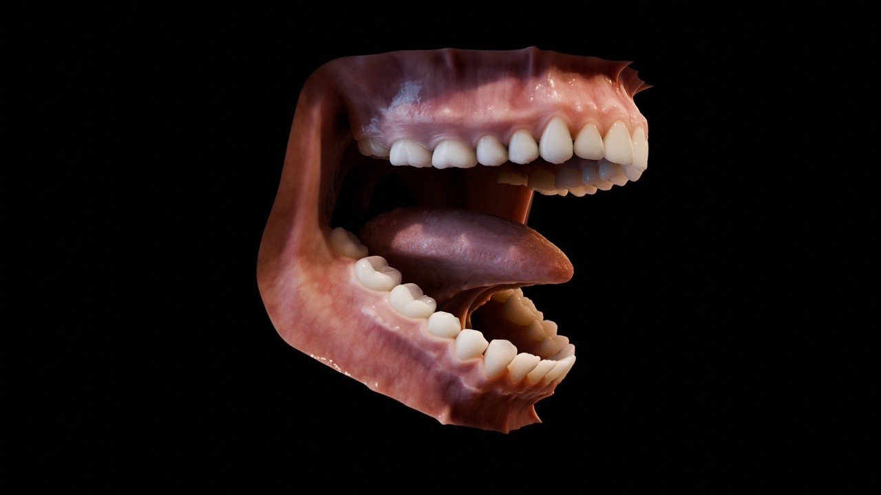 Human mouth - realistic ilanı için 1. medya