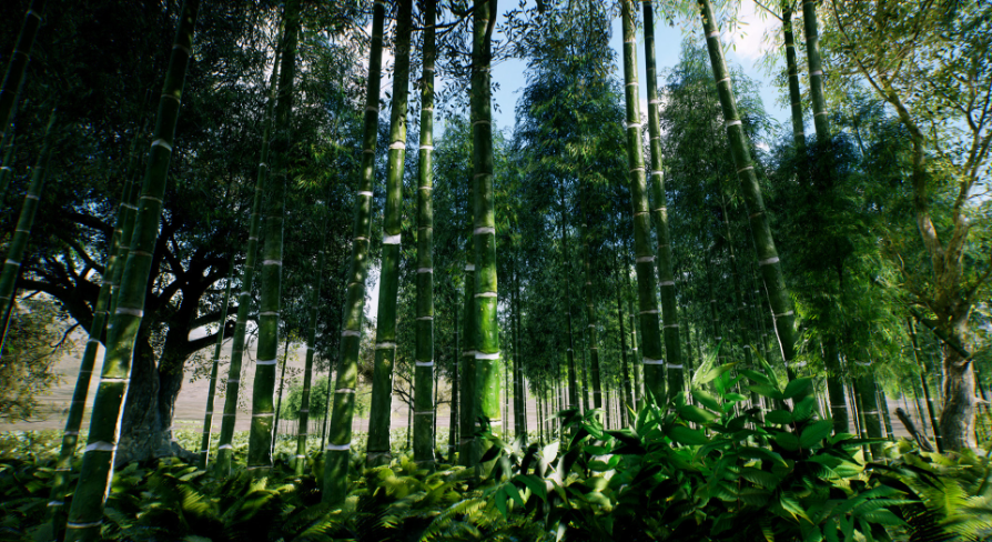 邦楽 banbi sound forest 邦楽 sound forest banbi CD 邦楽 banbi sound forest CD Amazon