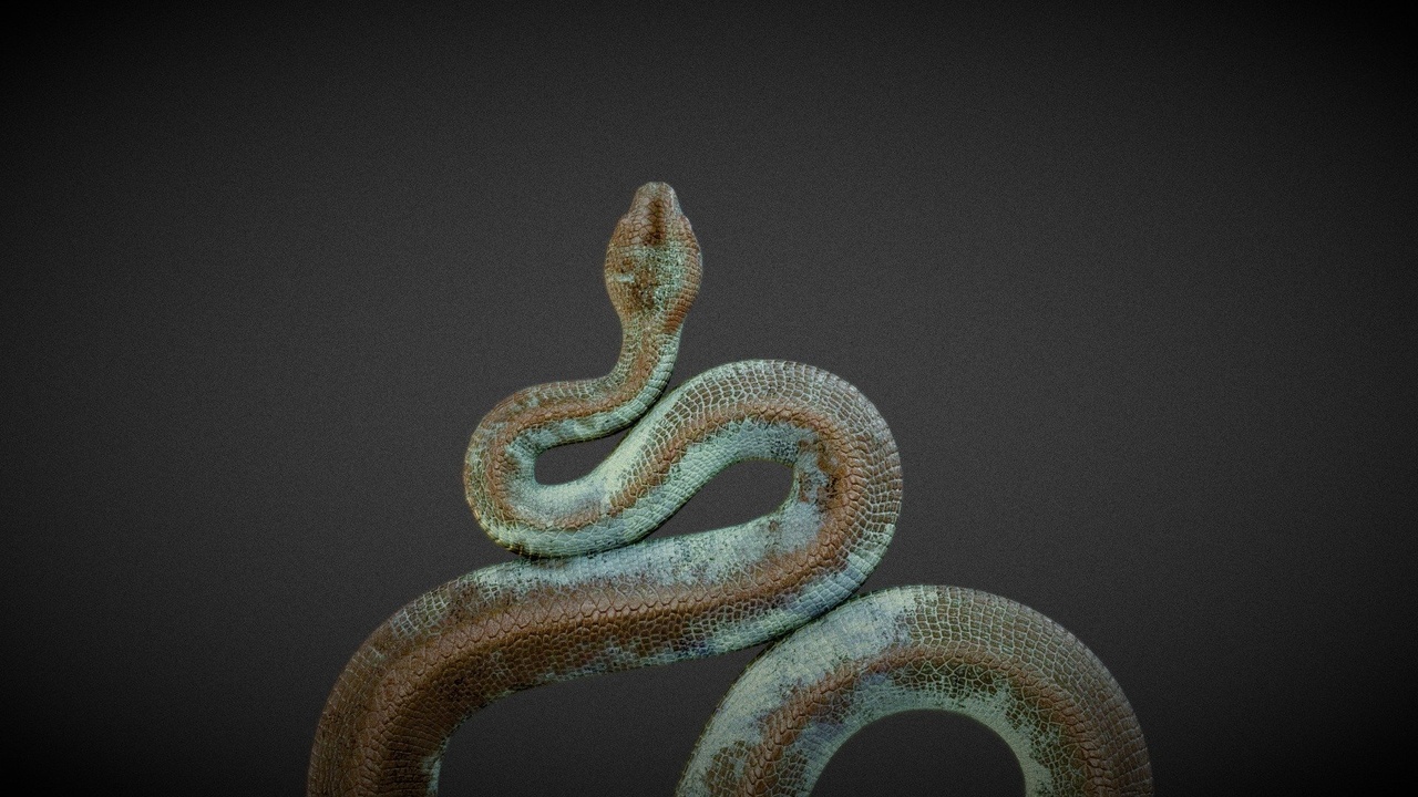 Media 1 for listing Ancient Bronze Snake Sculpture