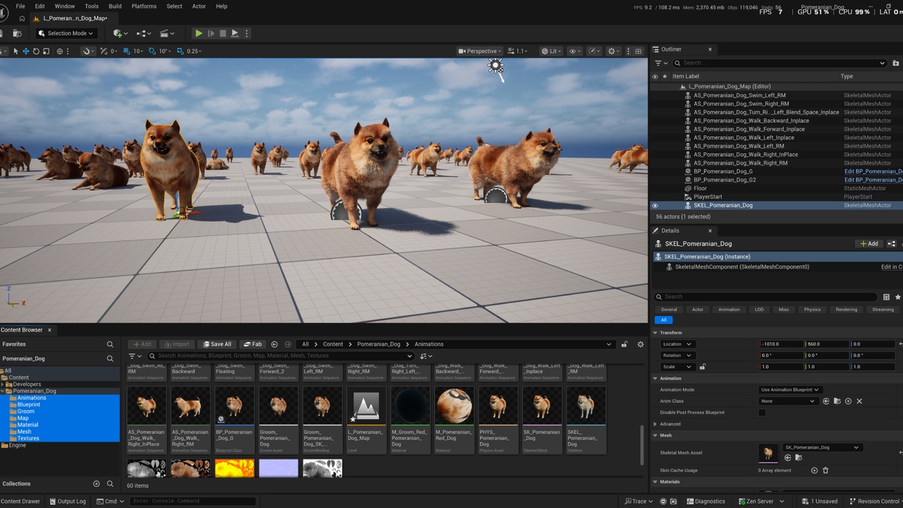 Media 1 for listing Pomeranian Dog (Groom Game Ready)