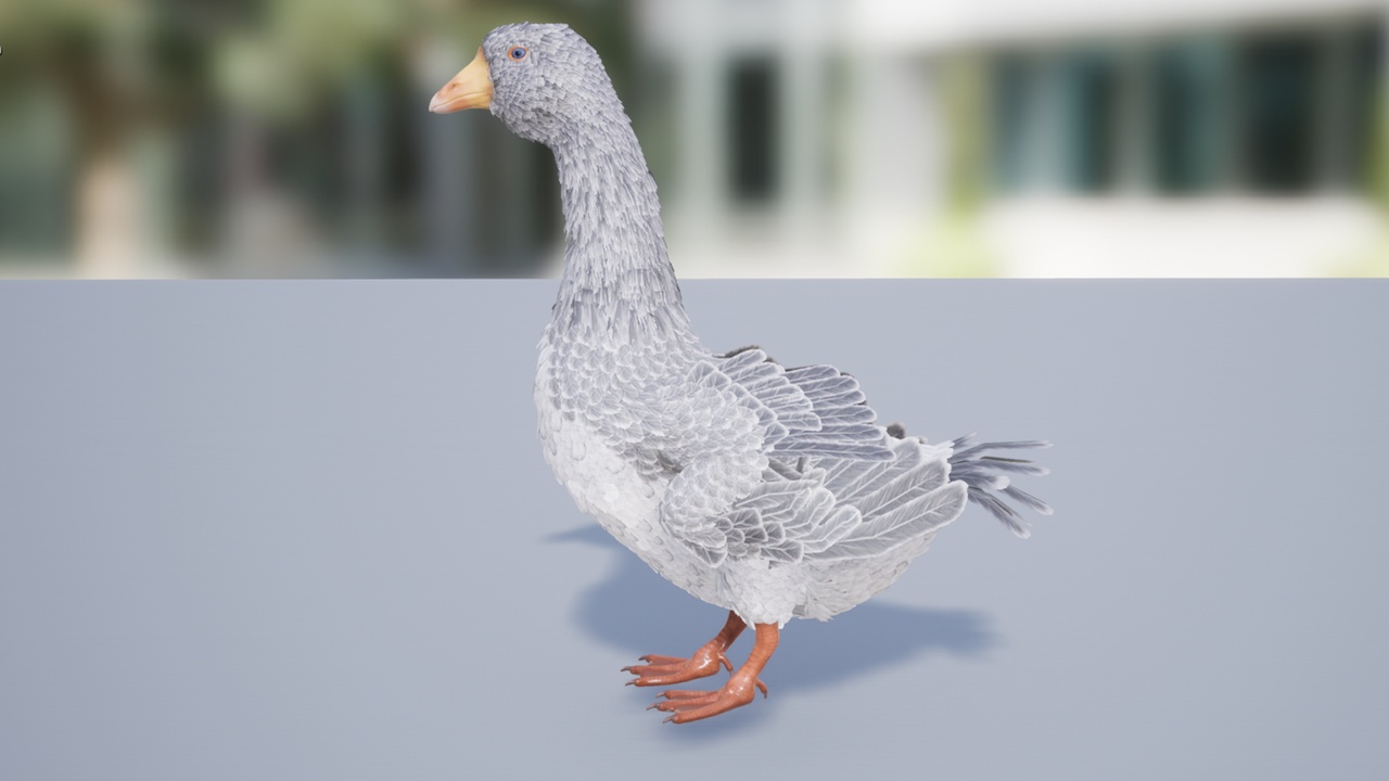 Media 1 for listing Goose feathered