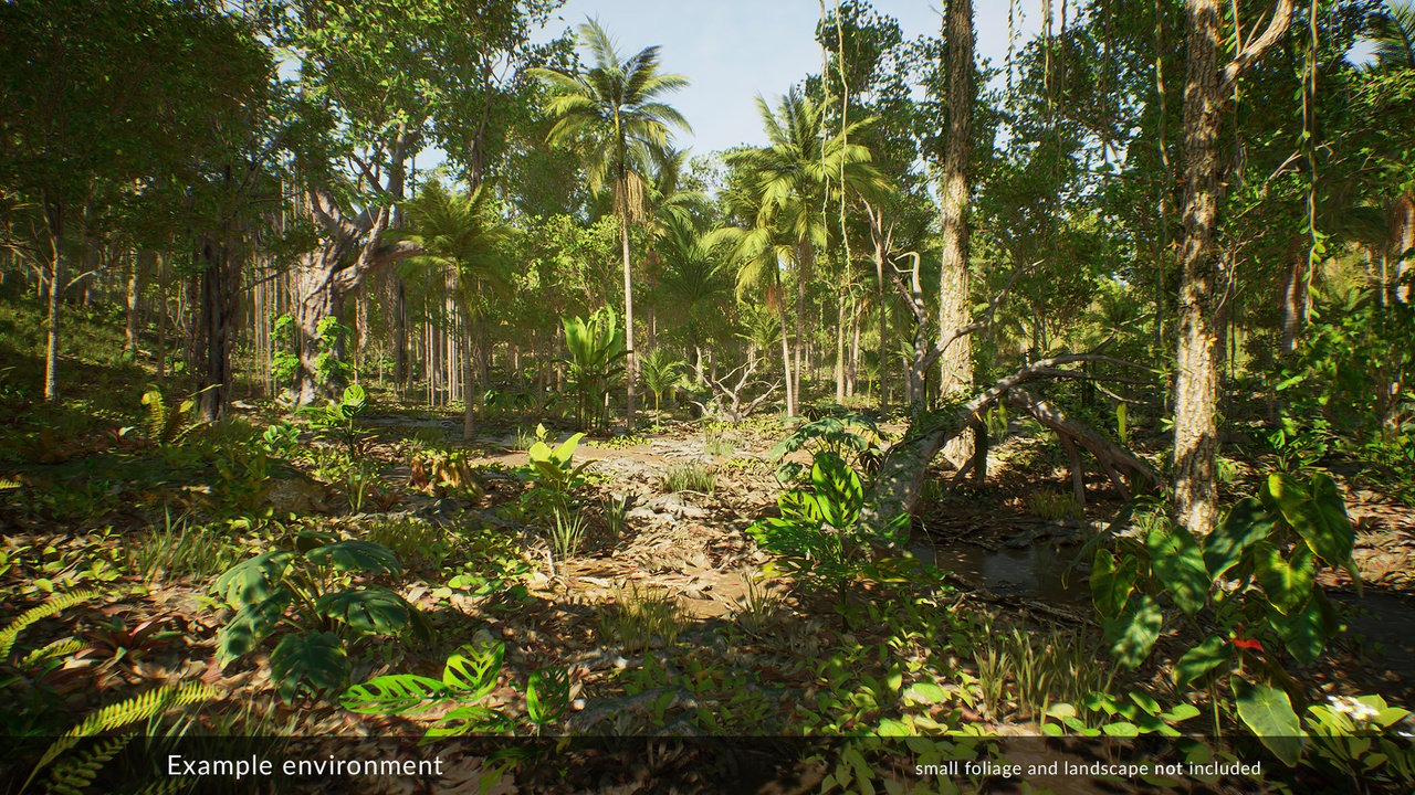 Media 1 for listing UCreate - Tropical Trees and Palms