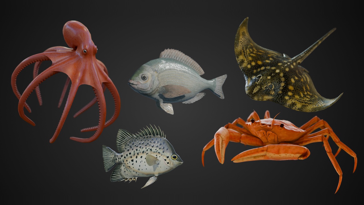 Media 1 for listing Animated aquatic animals pack