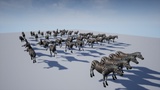 Asset image