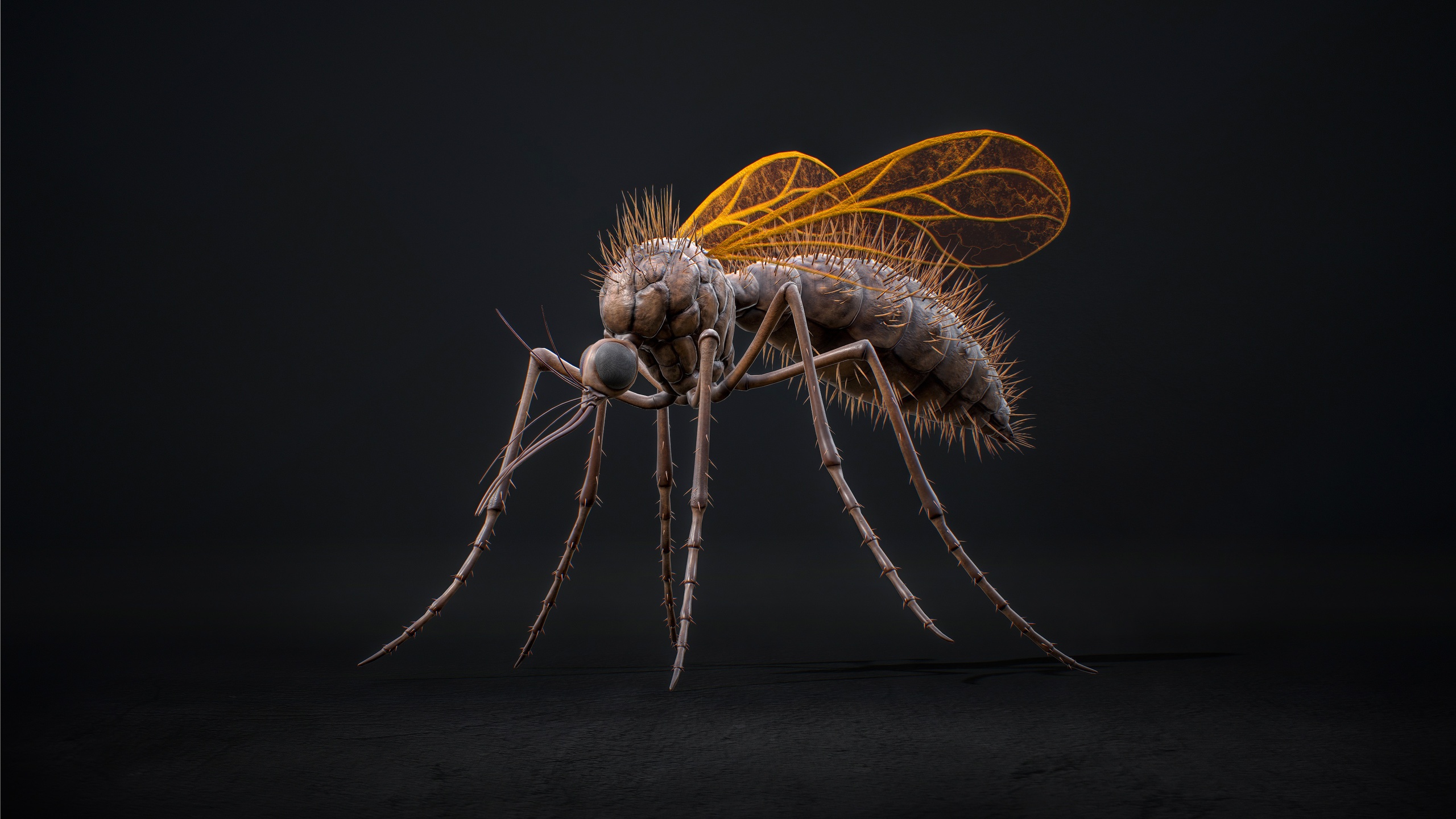 Media 1 for listing Mosquito Queen - Fantasy Cave Mosquitoes
