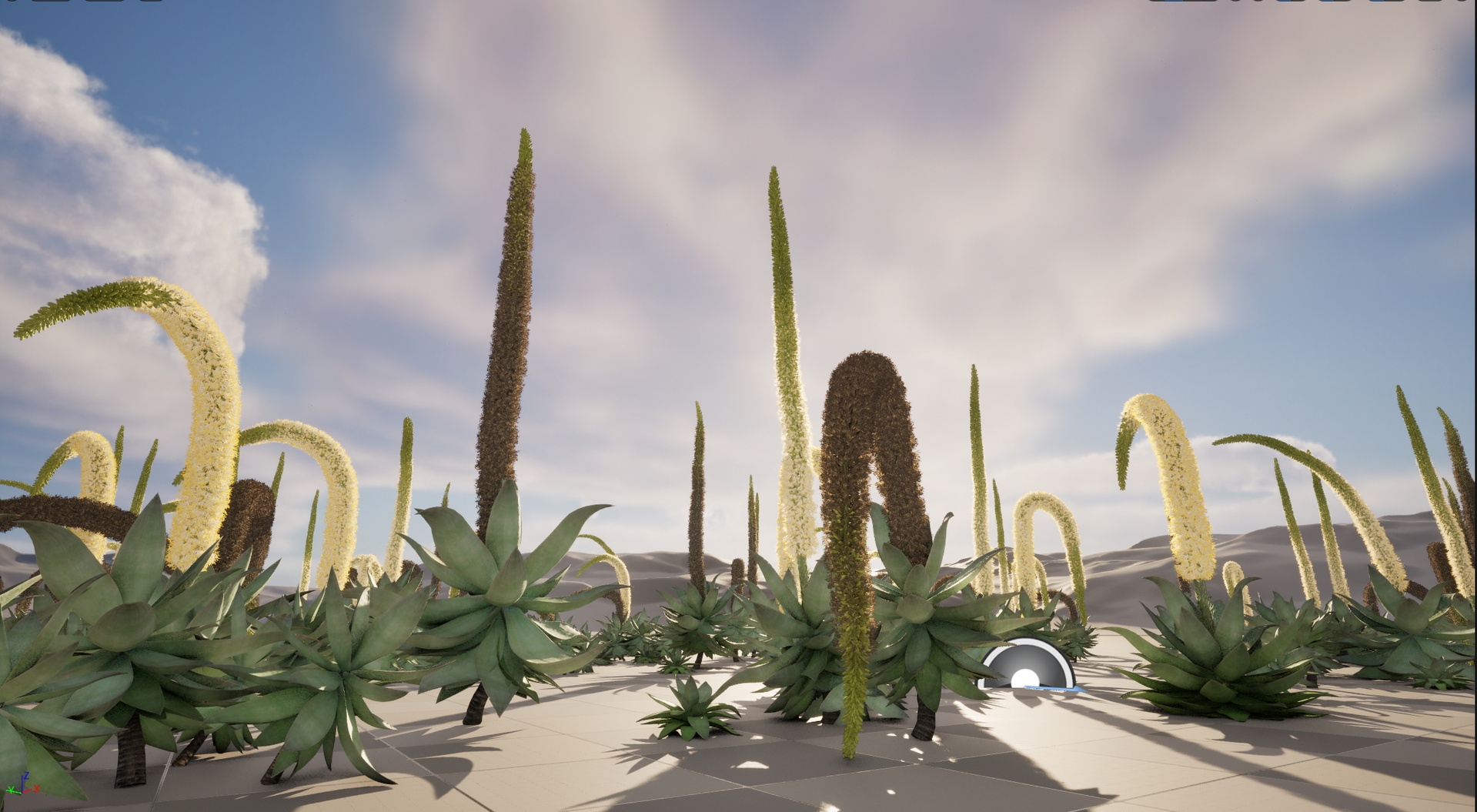 Media 1 for listing Nanite Desert Plants - Agave attenuata – Fox Tail