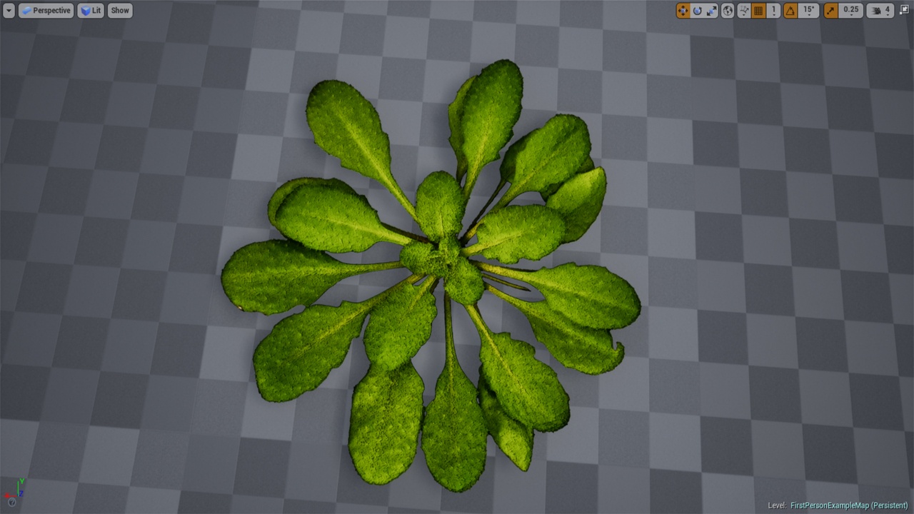 Media 1 for listing Fantasy Meadow Foliage Pack