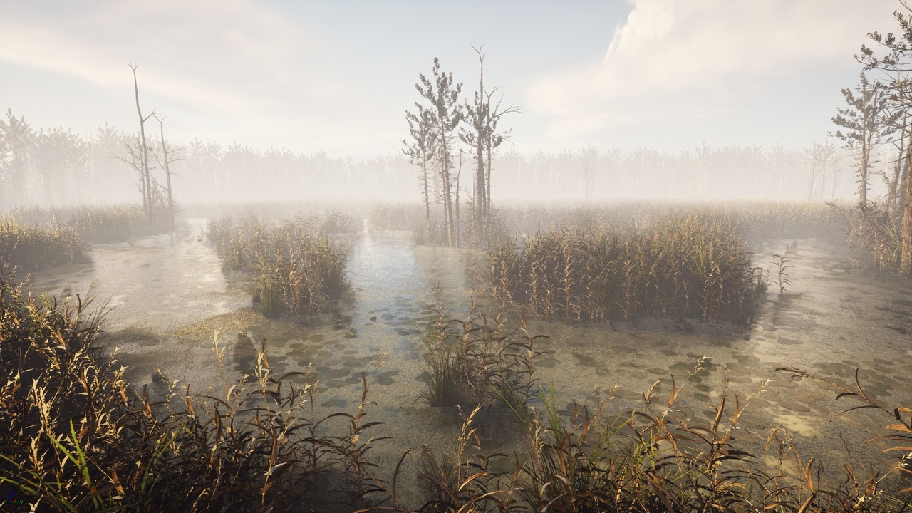 Media 1 for listing Swampy forest