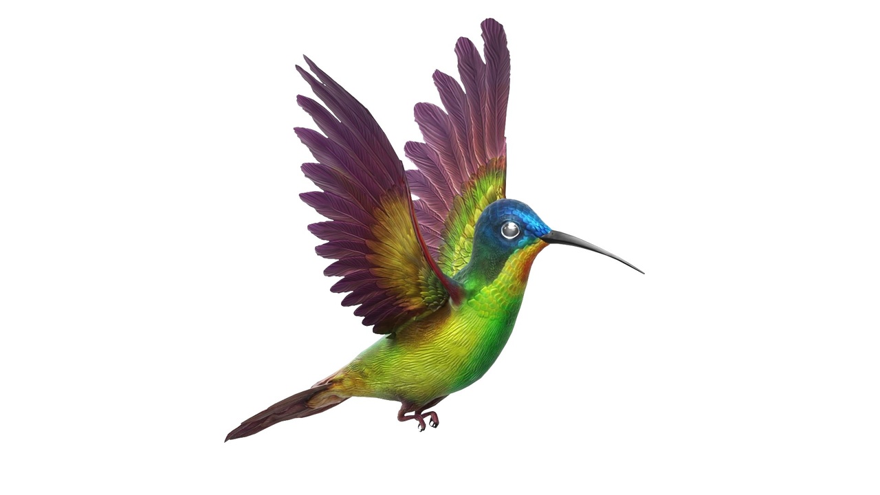 Media 1 for listing Fully Rigged Fluttering Hummingbird
