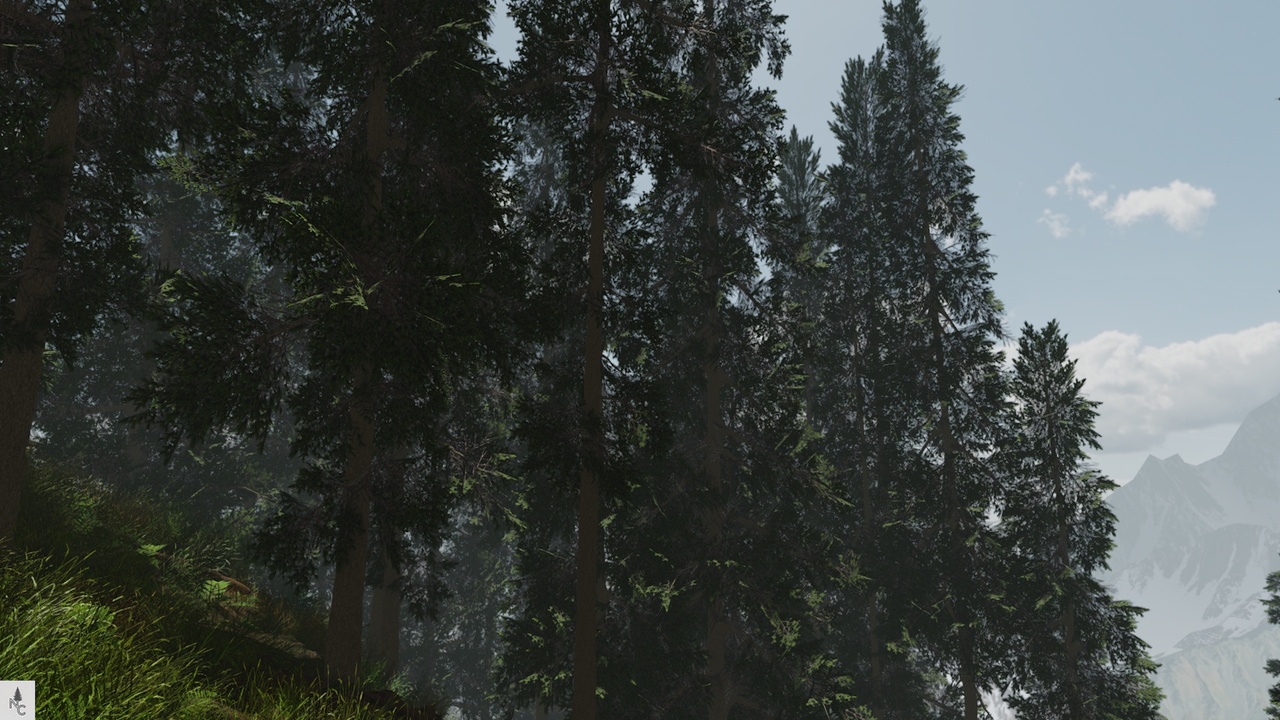 Media 1 for listing Realistic Norway Spruce Pack