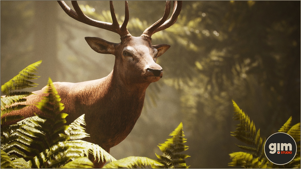 Media 1 for listing Animalia - Red Deer (male)