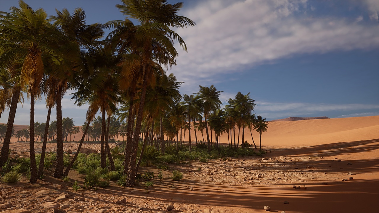 Media 1 for listing Dune Desert Oasis Sand Biome