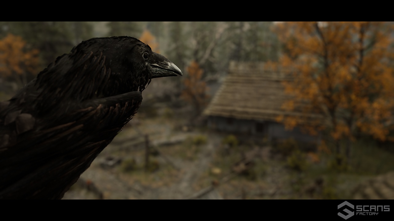Media 1 for listing Ravens - Animated Interactive System
