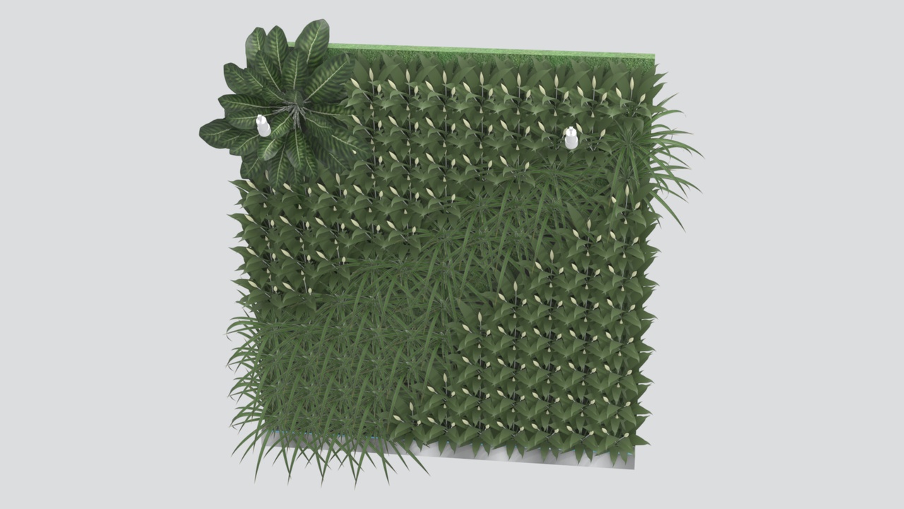 Media 1 for listing Vertical Green Wall Panel with Striped Grasses and Broad Leaf 3D Model