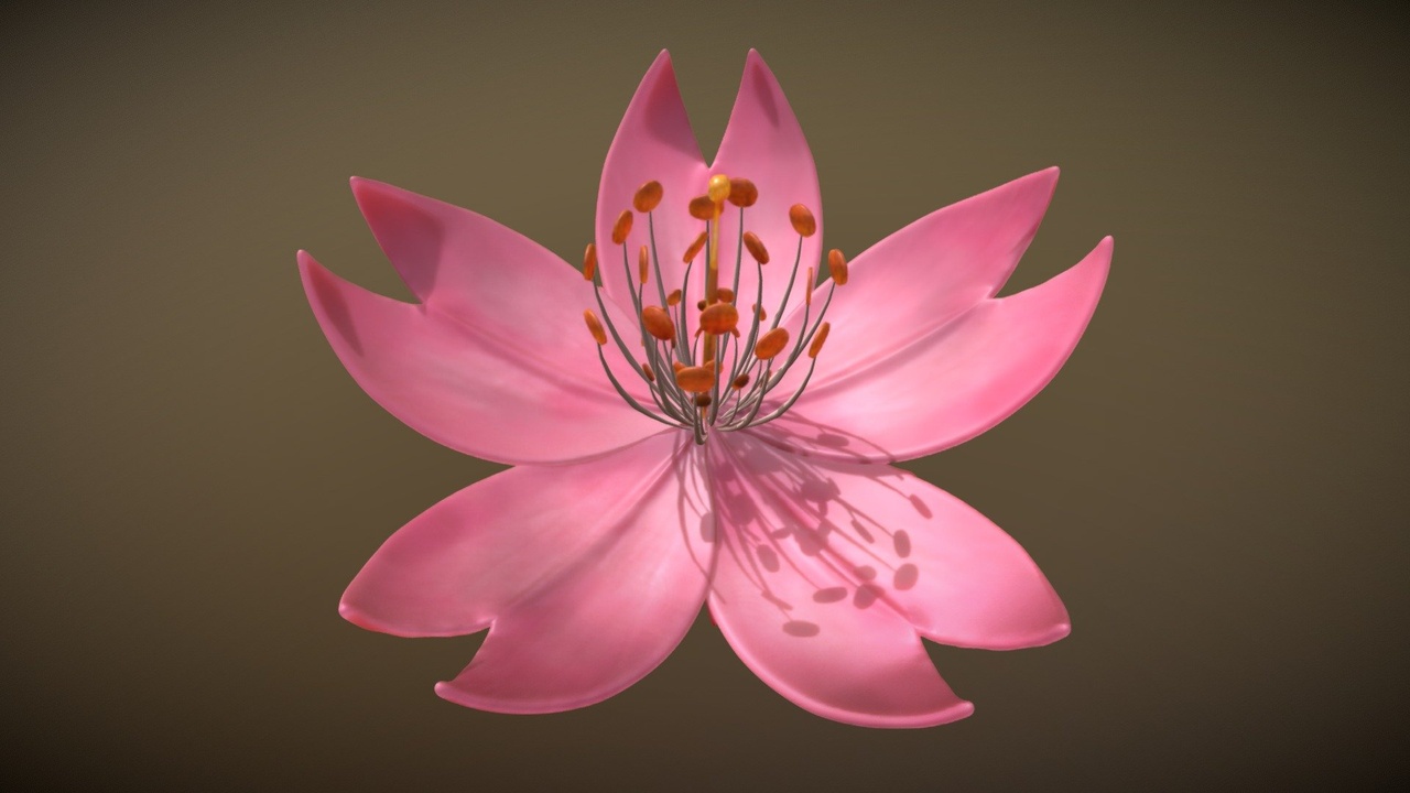 Media 1 for listing Sakura Cherry blossom - Flor de cerezo