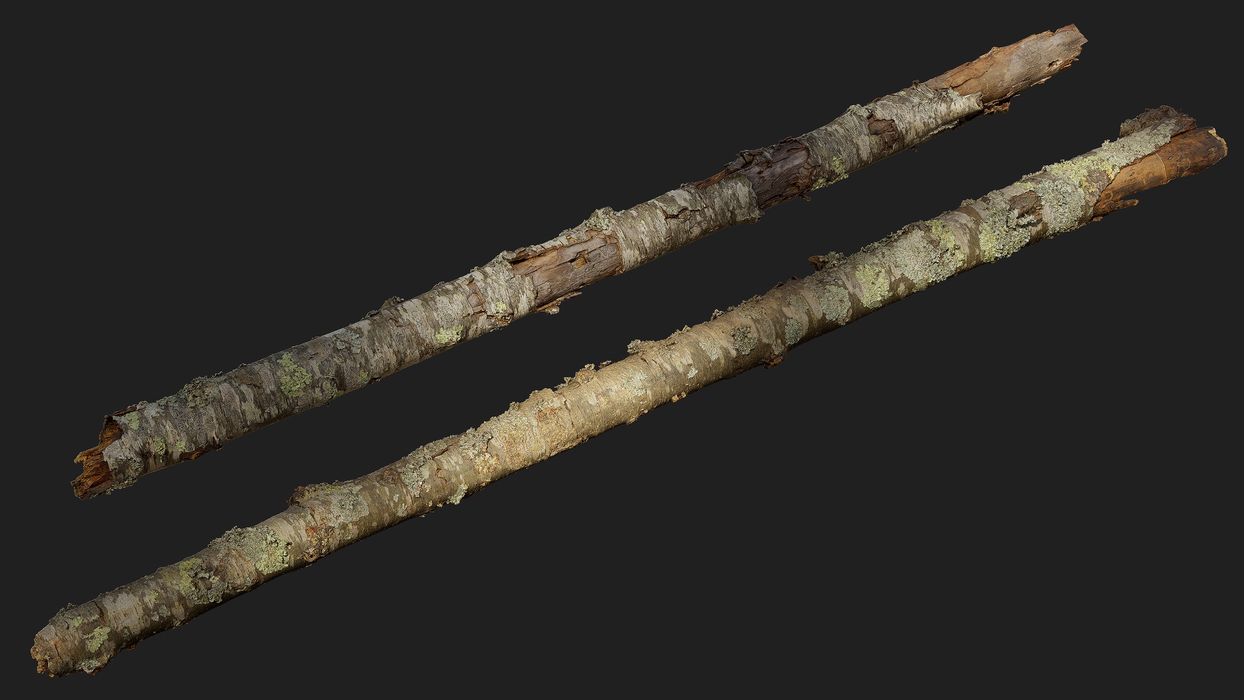 Media 1 for listing Black Cherry Broken Trunks 01