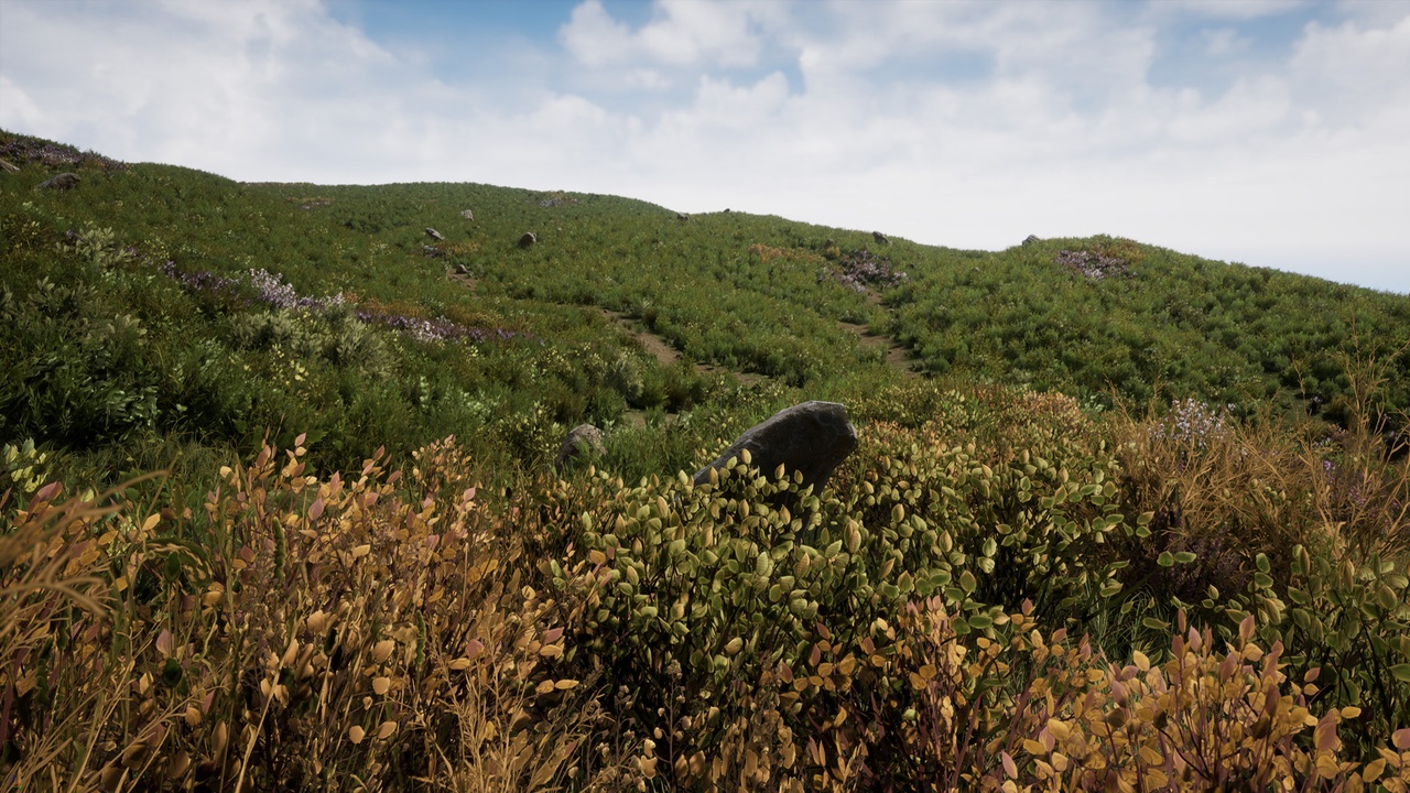Media 1 for listing Light Foliage V2
