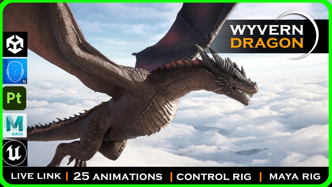 Media 1 for listing Dragon