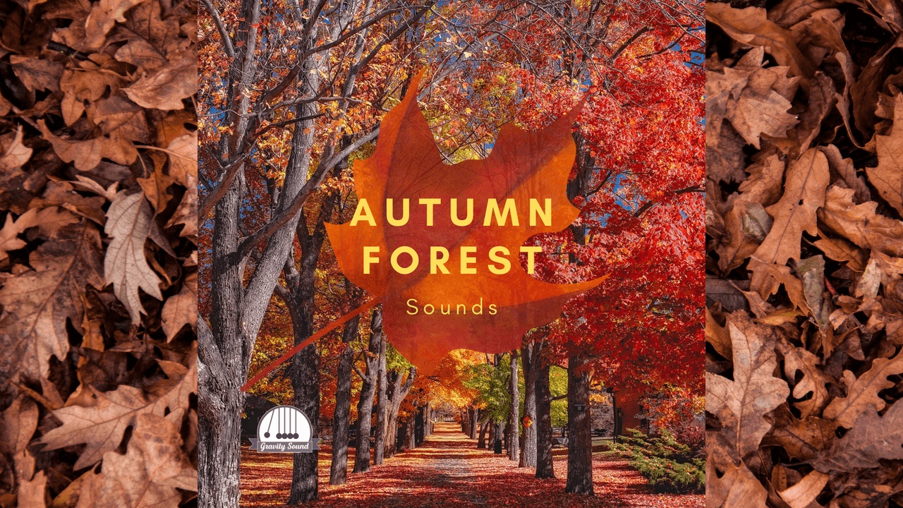Media 1 for listing Autumn Forest Sounds