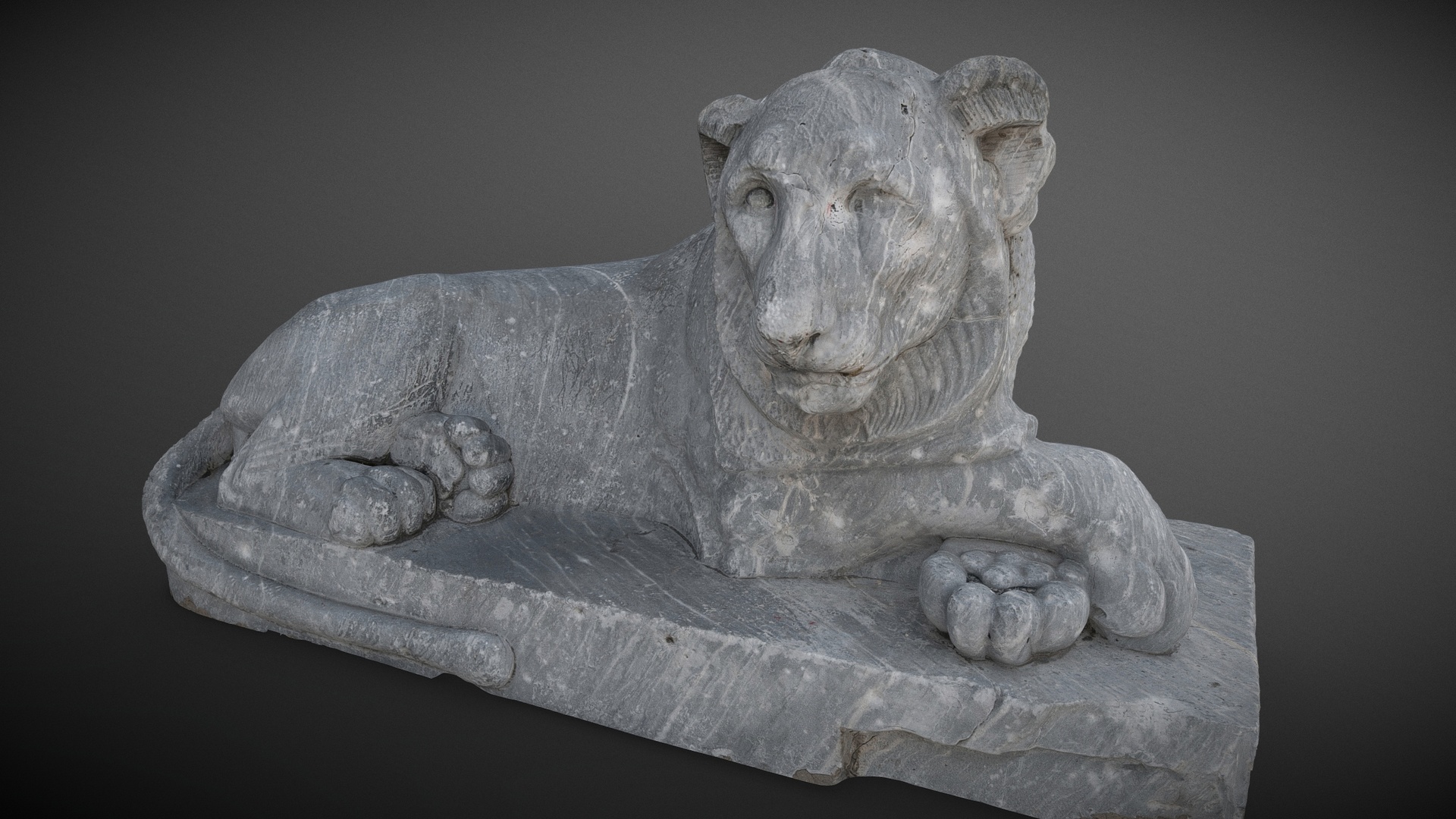 Media 1 for listing Lion of Naples