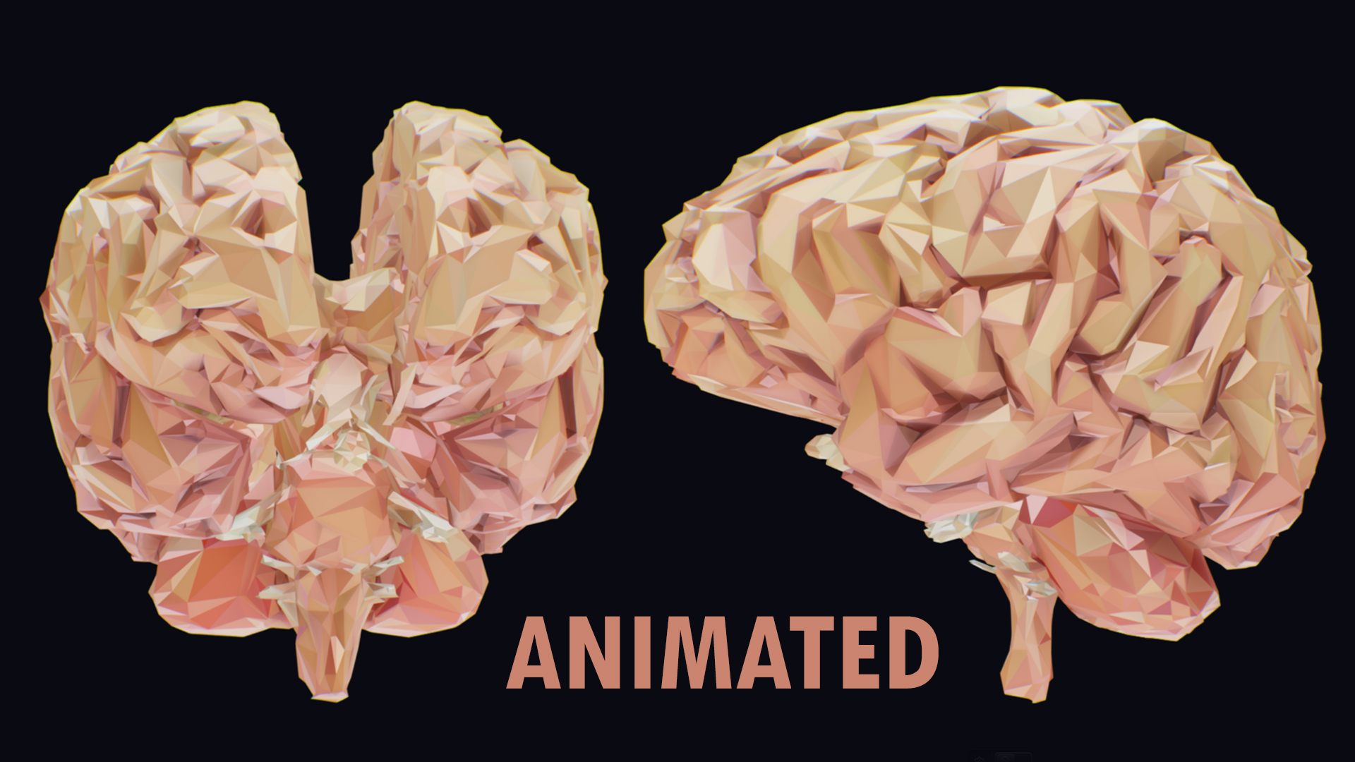 Human Brain - Animated Medical Polyart Organ - Pink Lowpoly Art Style ...