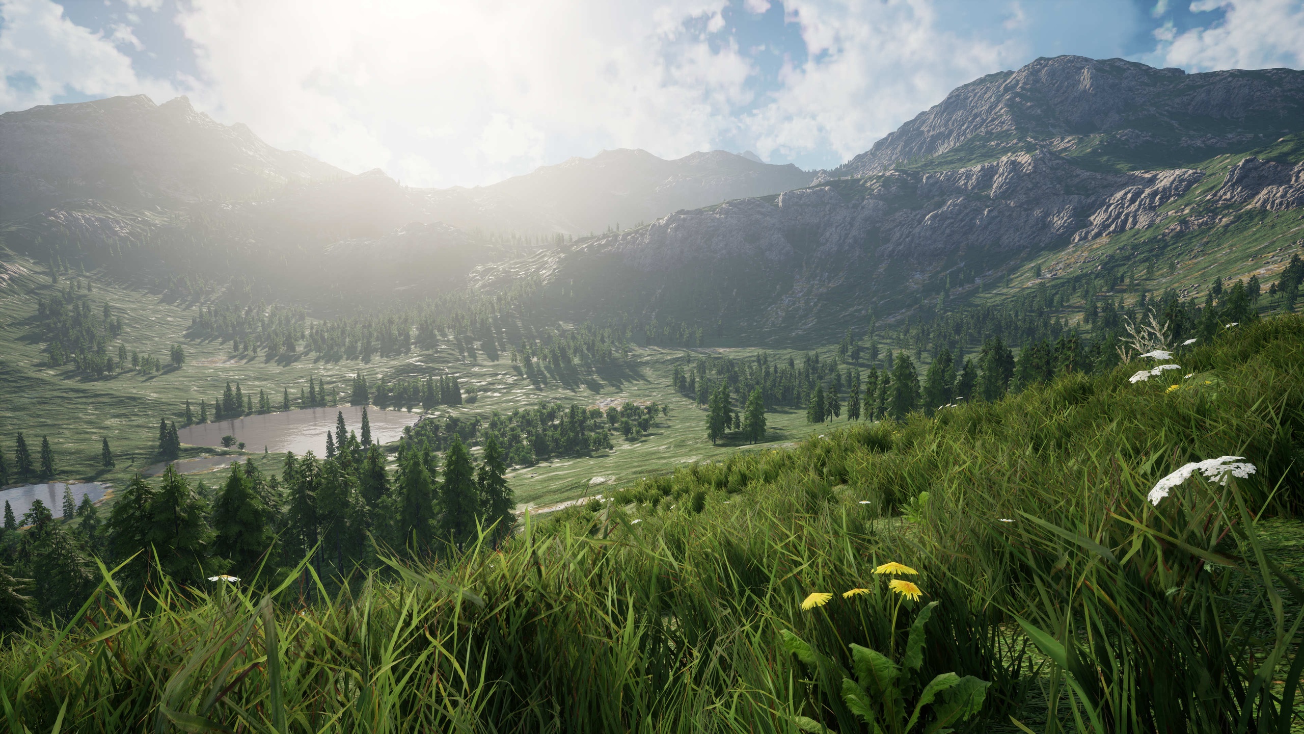 商品 Mountain forests and meadows 的媒体 1