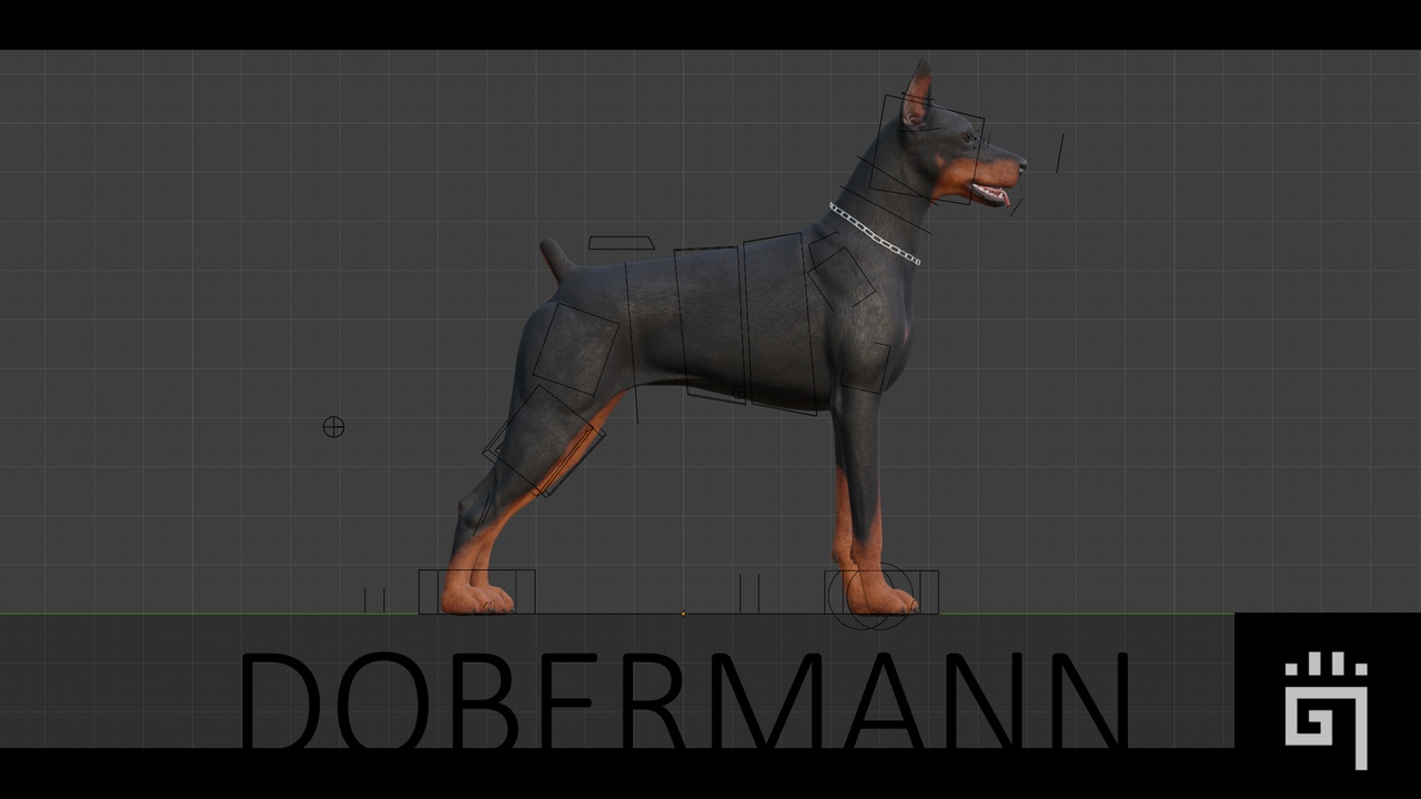 Media 1 for listing Dobermann