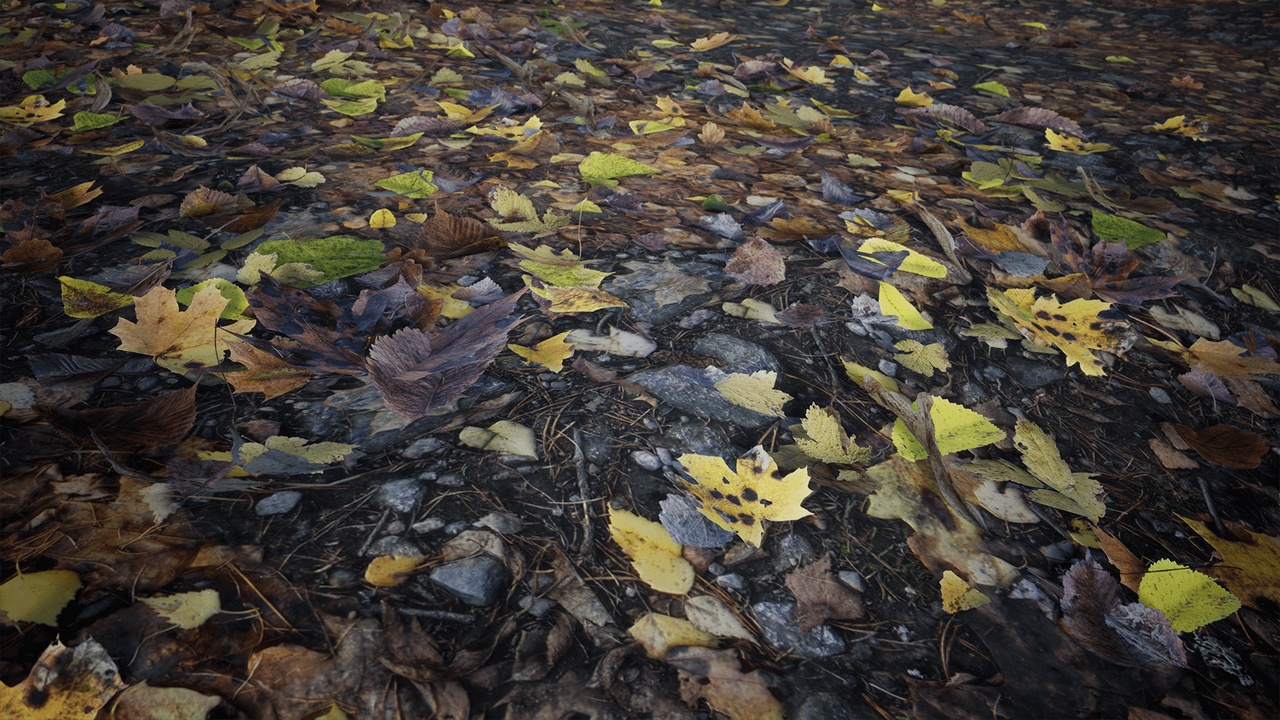 Media 1 for listing Leaves aplenty
