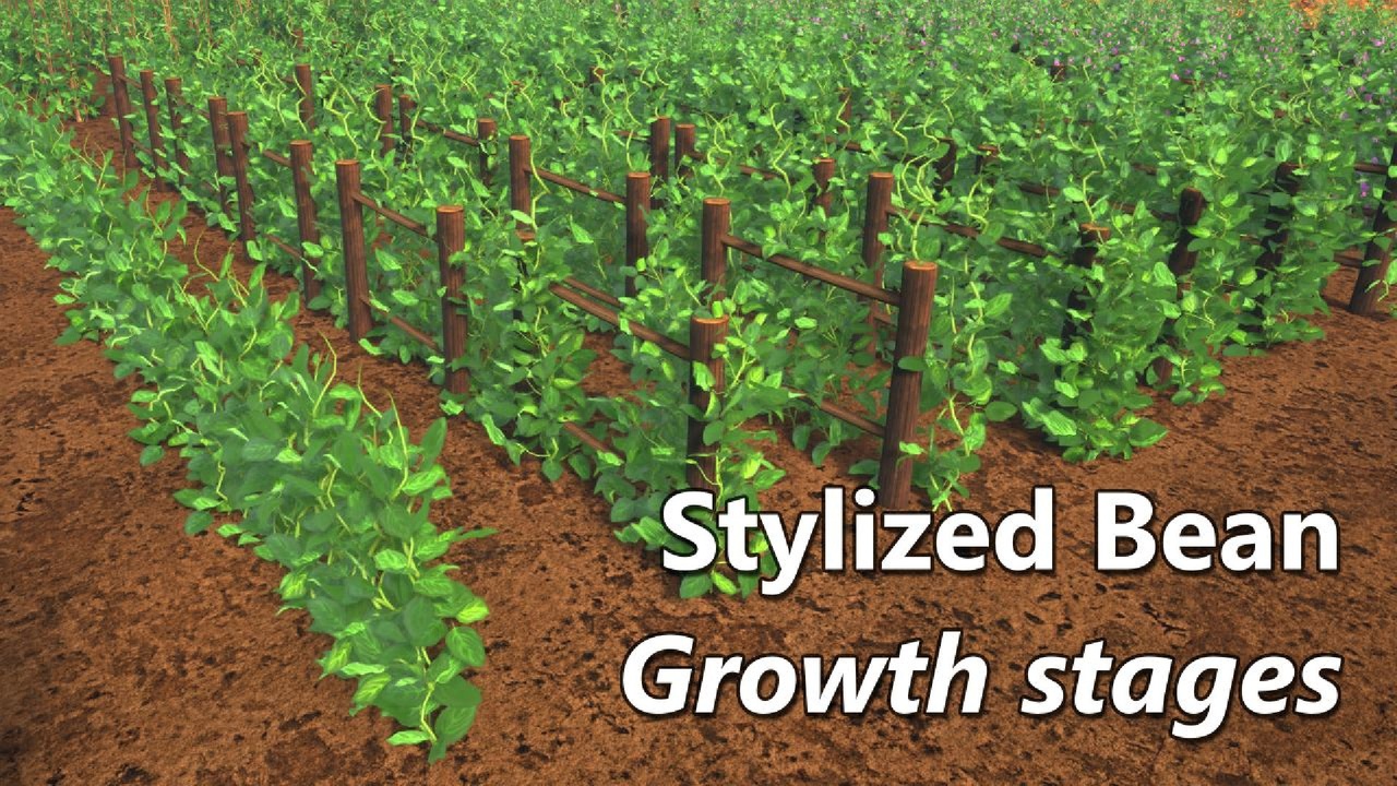 Media 1 for listing Stylized Bean Growth Stages | Nanite Foliage