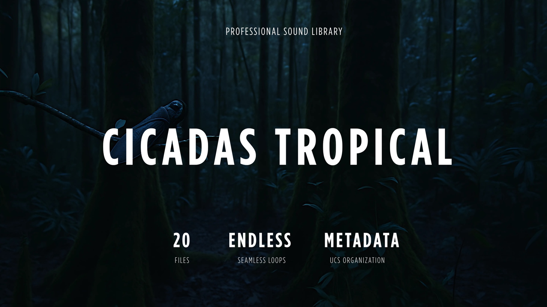 Media 1 for listing Cicadas Tropical