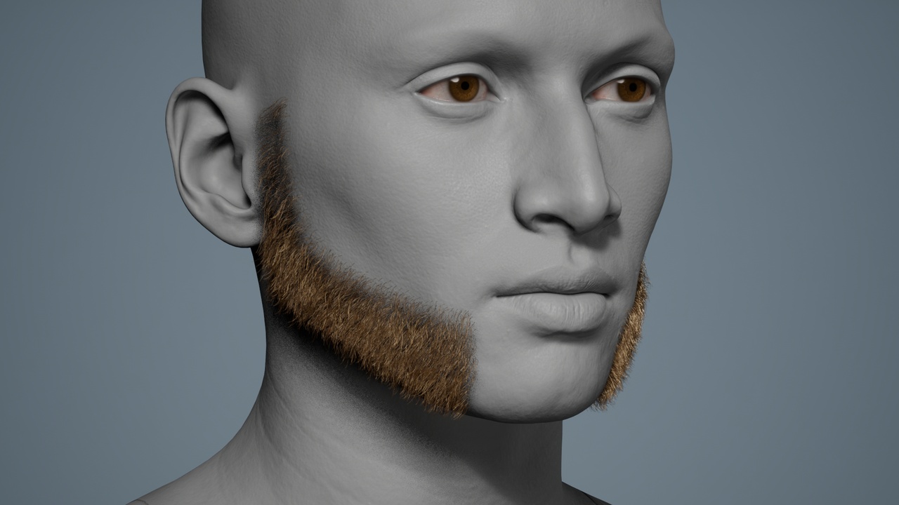 Media 1 for listing Franz 01 - MetaHuman Sideburns/Beard Groom