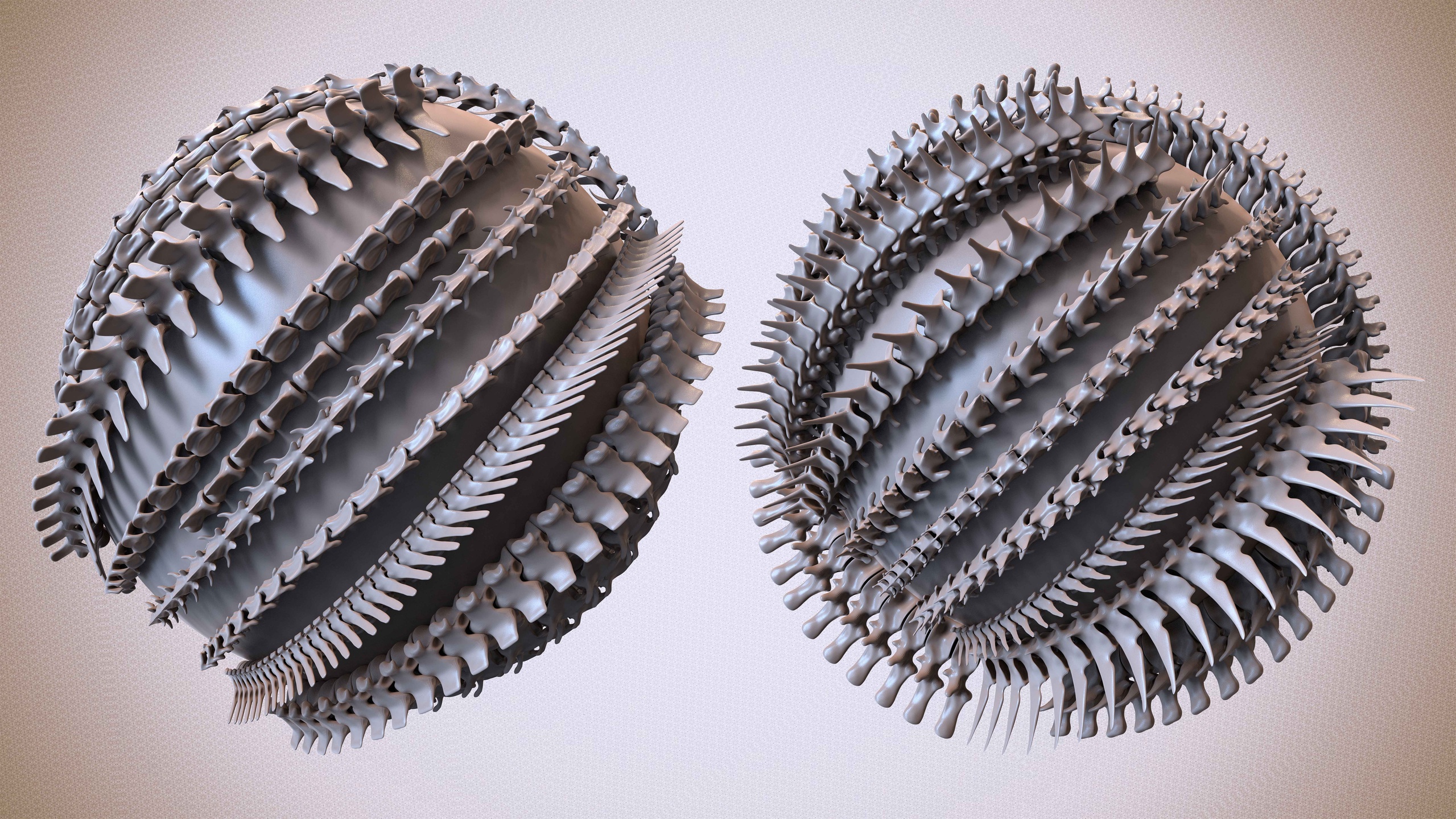 Media 1 for listing 30 IMM Back-Bone / Spine ZBrush Brush Volume 03