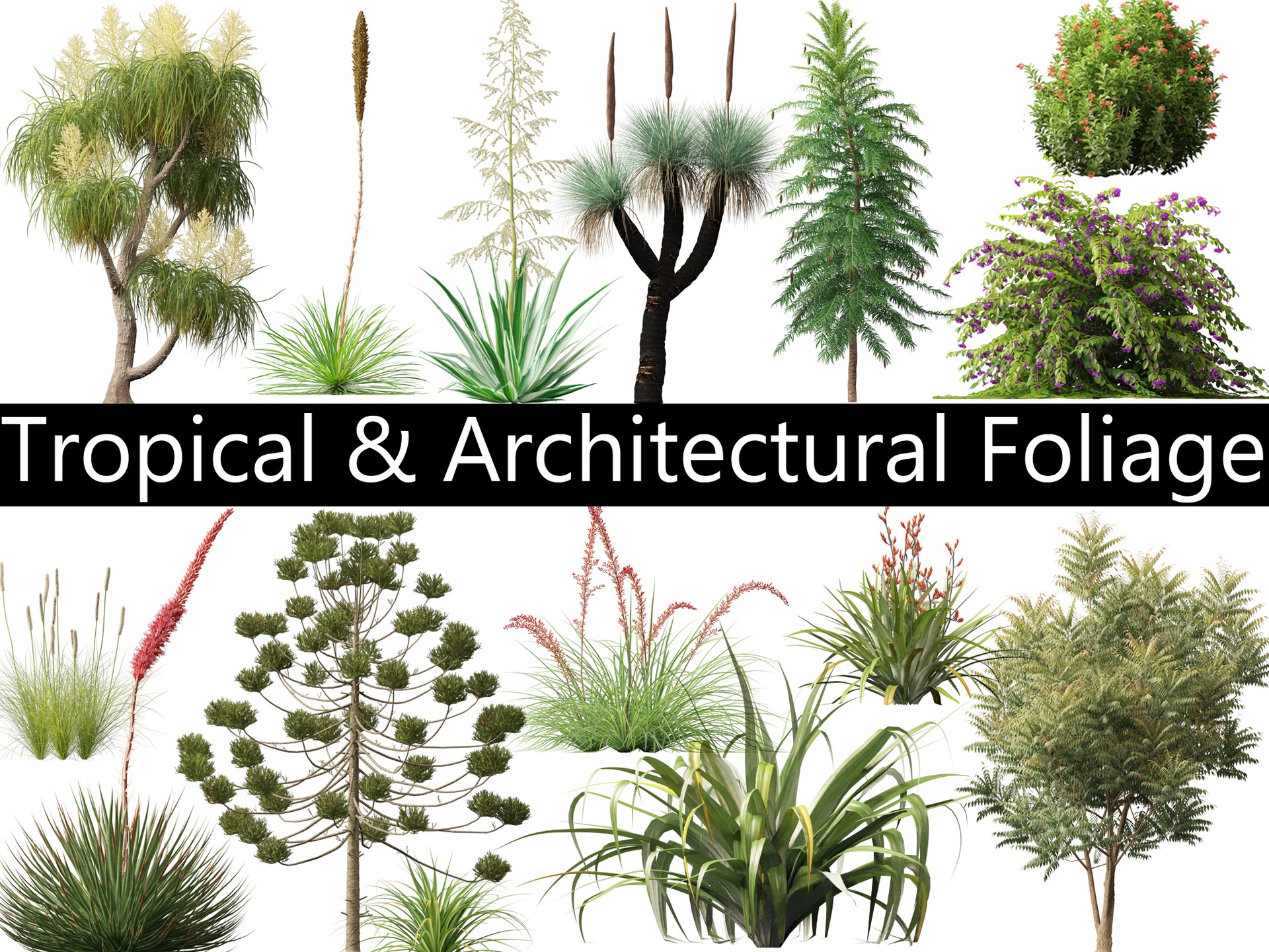 Tropical & Architectural Foliage Pack 51 | Fab