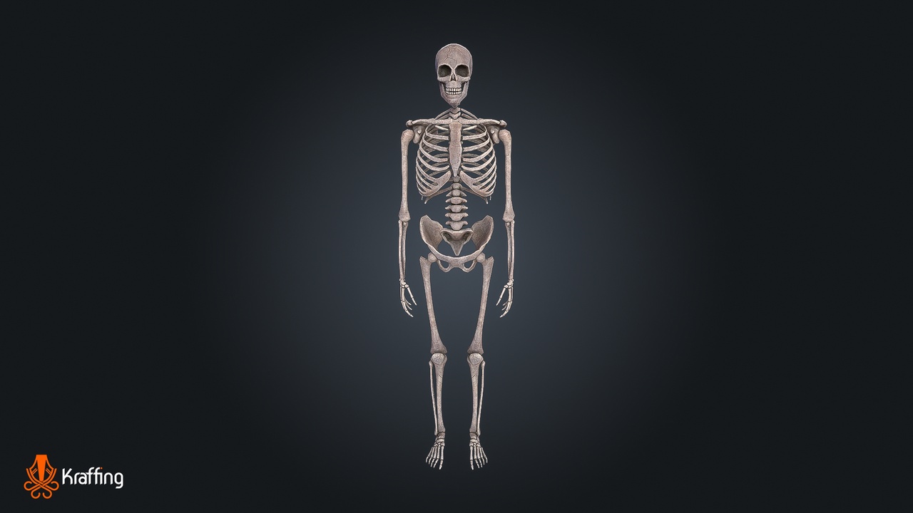 Media 1 for listing Skeleton Bone V1 - Dungeon – Game Ready PBR