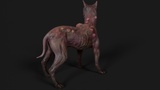 Asset image
