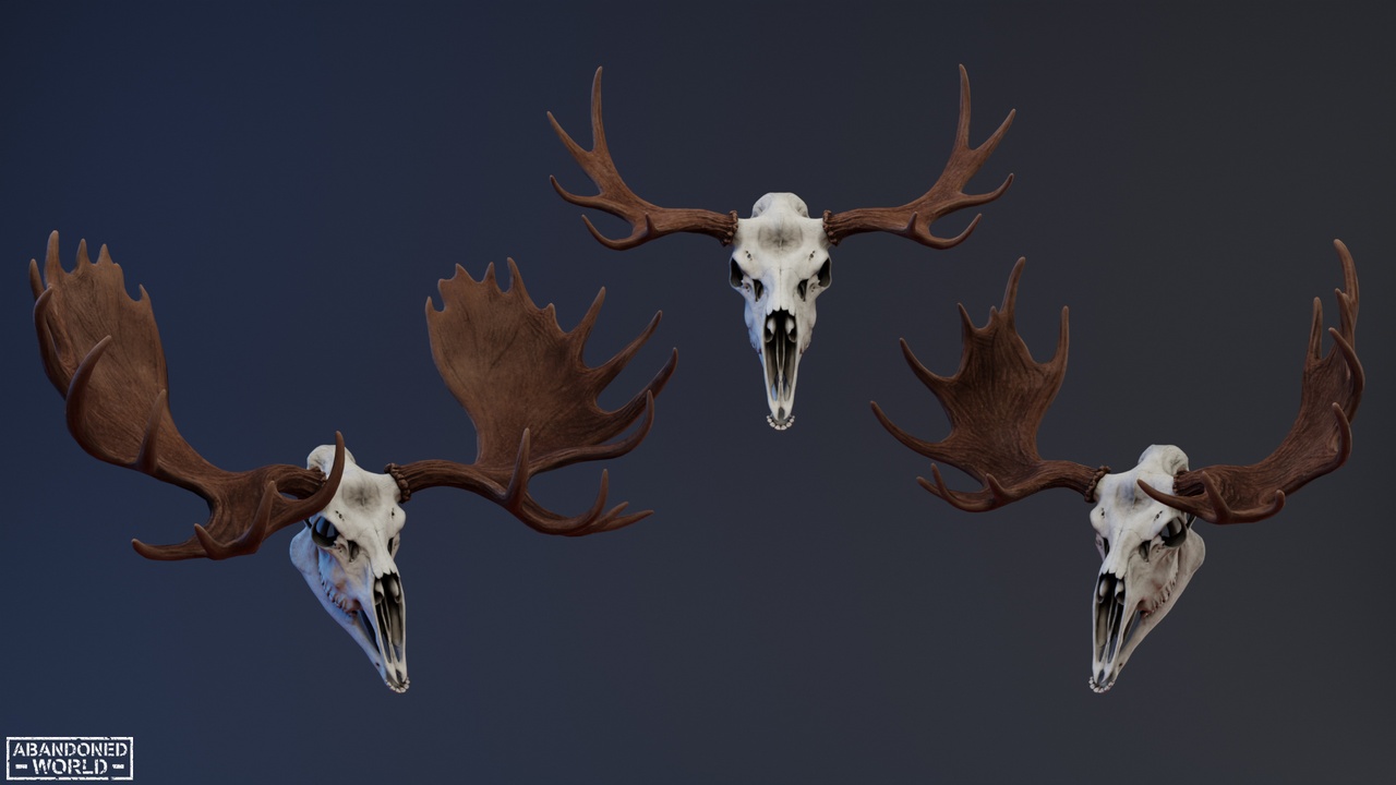 Media 1 for listing Moose Skull