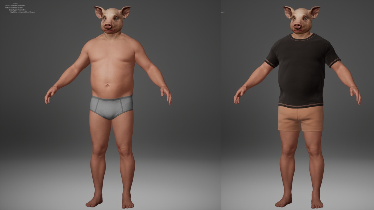 Media 1 for listing Pig Metahuman Character