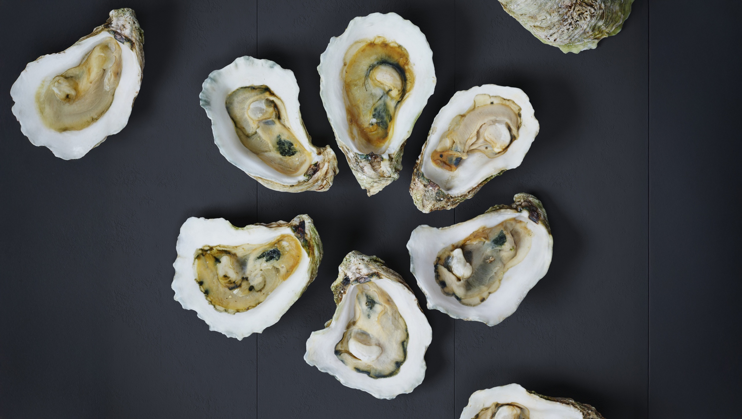 Media 1 for listing Half Shell Oysters