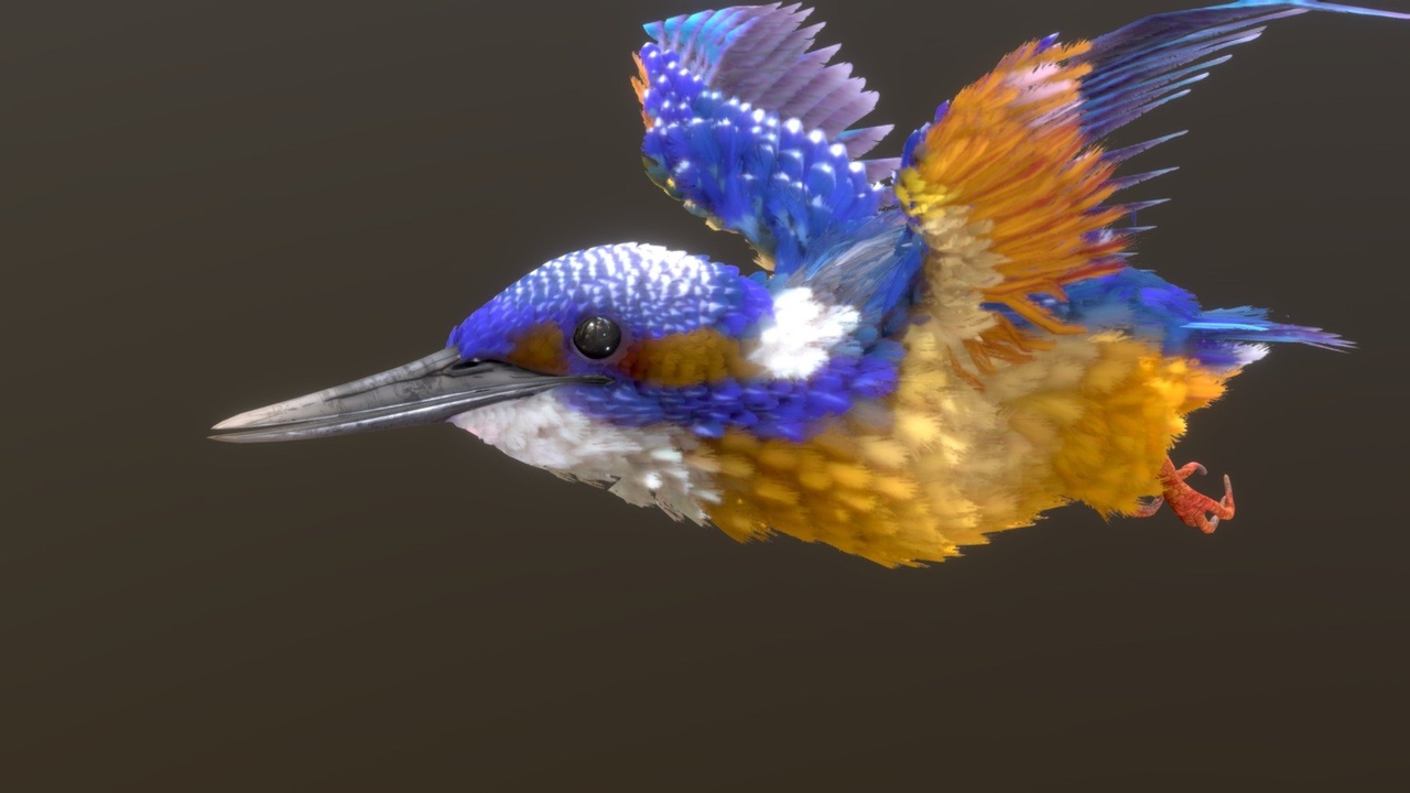 Media 1 for listing Common Kingfisher