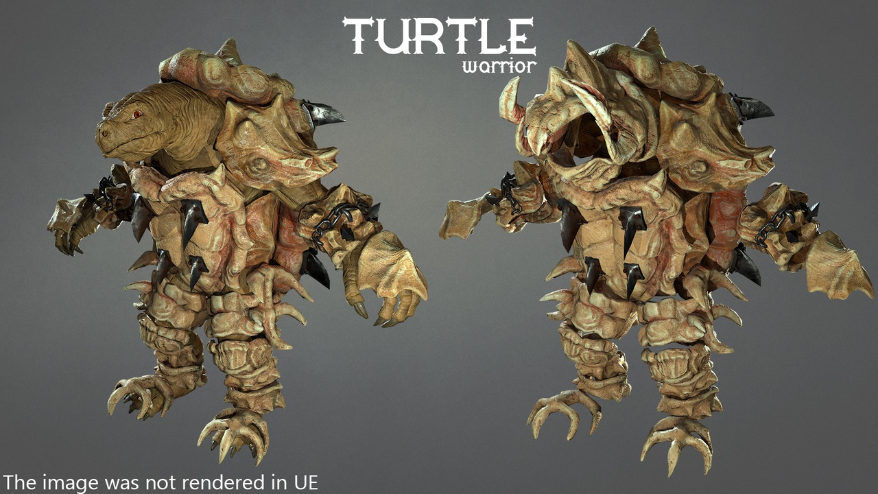 Media 1 for listing Turtle warrior