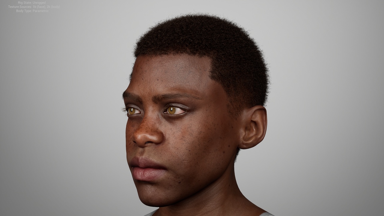 Media 1 for listing Short Coily Afro Taper – MetaHuman Groom