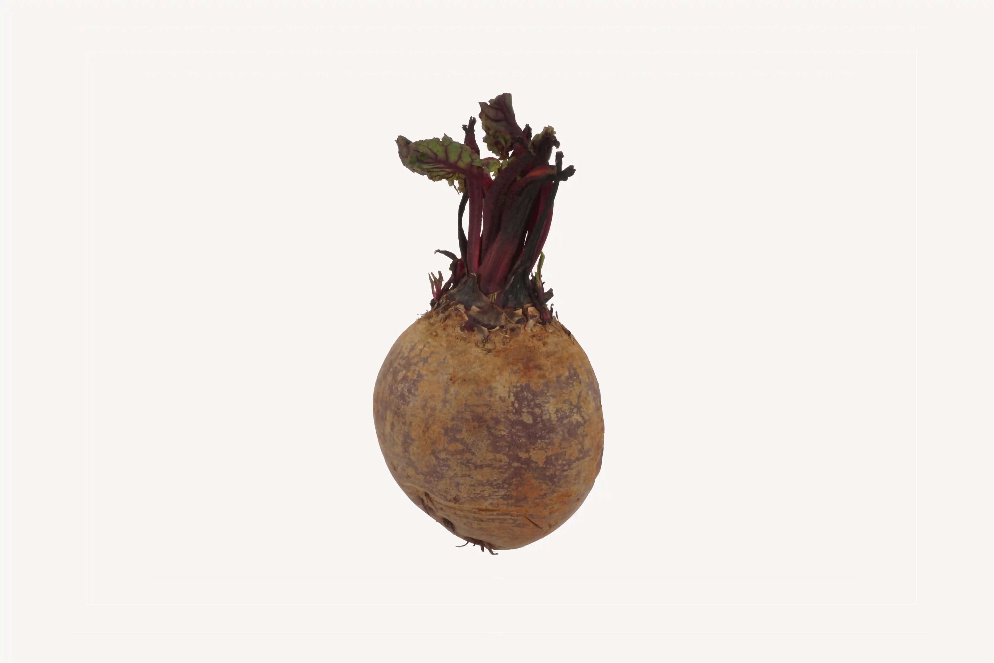 Whole Beetroot with Leaves | Fab
