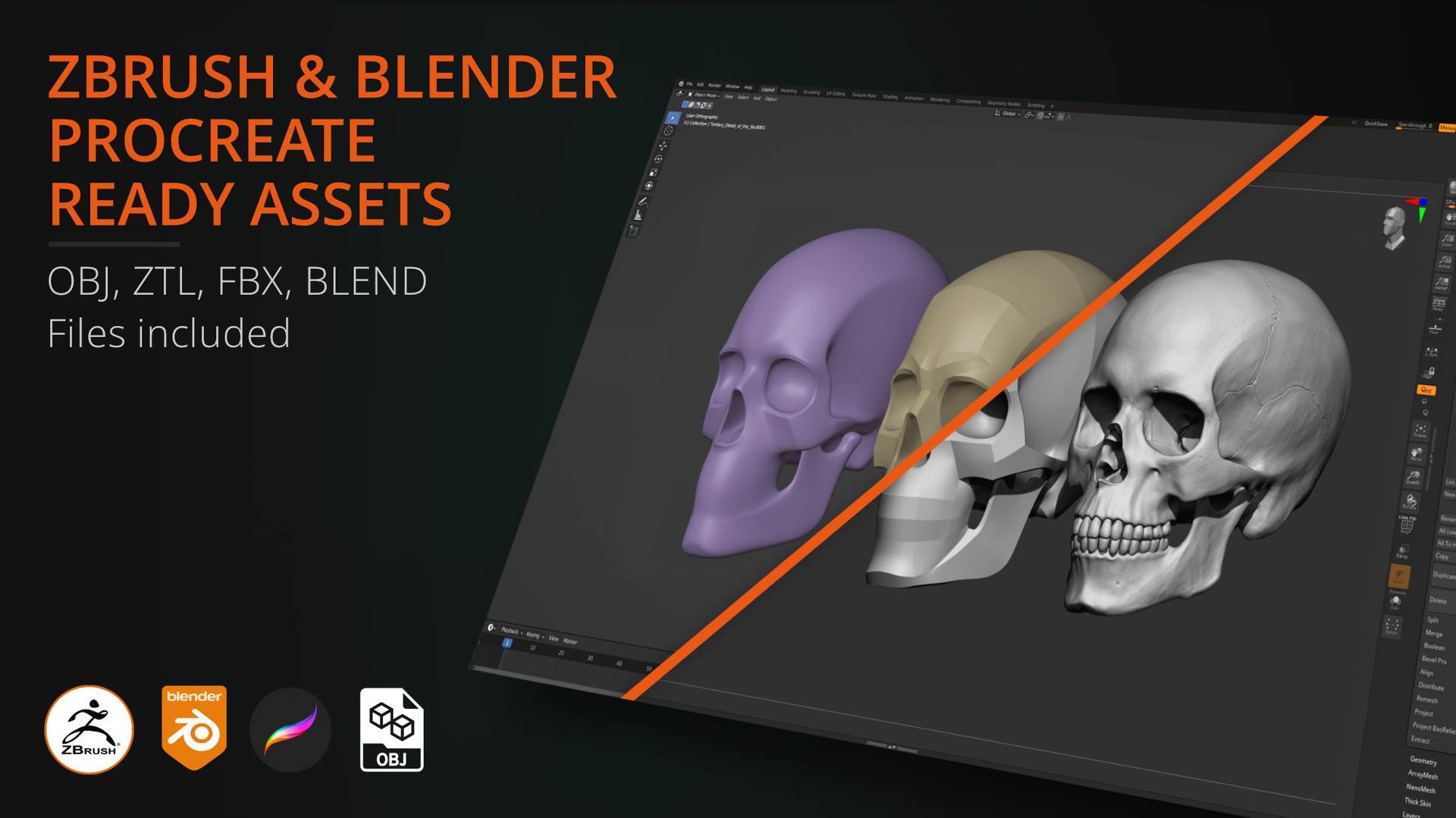Media 1 for listing Skull Model Study Pack: Anatomy and Portraiture Sculpture Kit