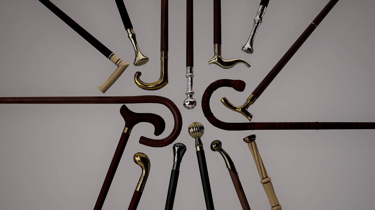 Media 1 for listing Walking sticks pack