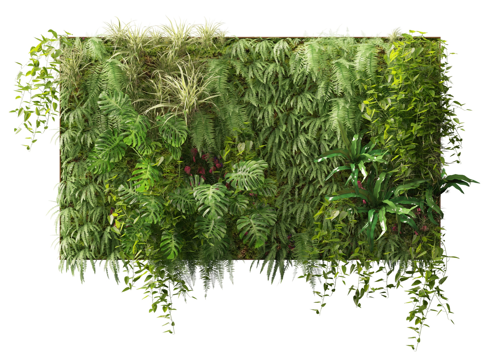 Media 1 for listing Vertical Garden -  Tropical Cascading Green Wall