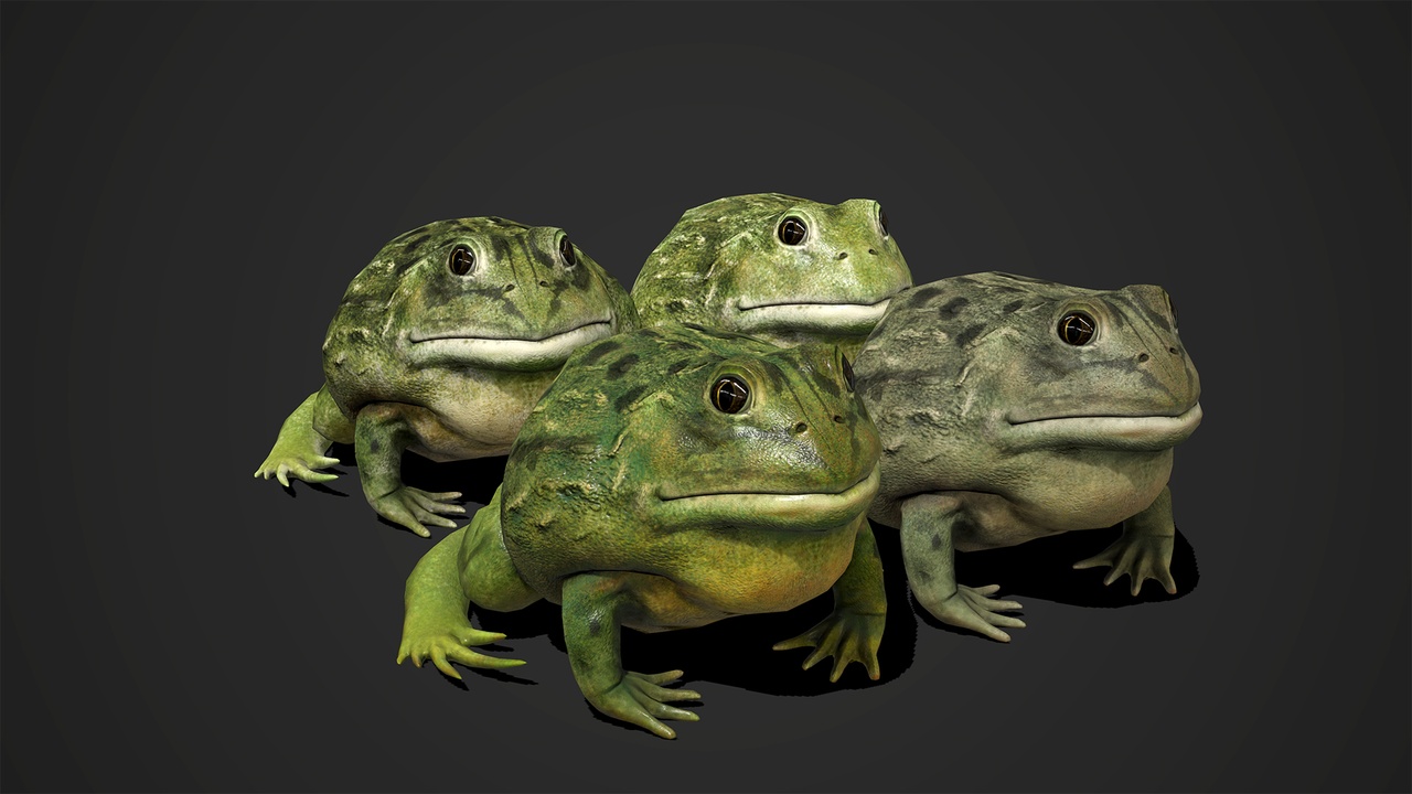 Media 1 for listing Pixie Frog