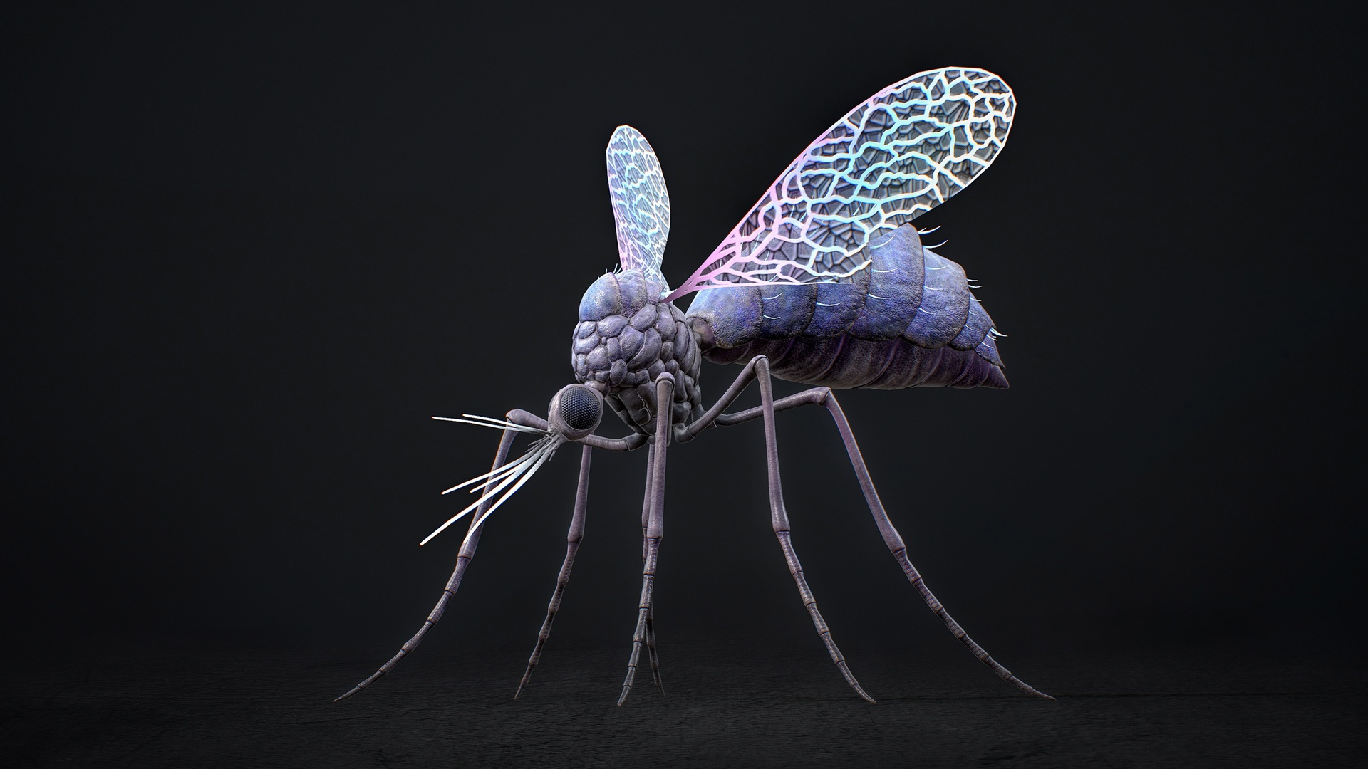 Media 1 for listing Mosquito Defender - Fantasy Magic Mosquitoes