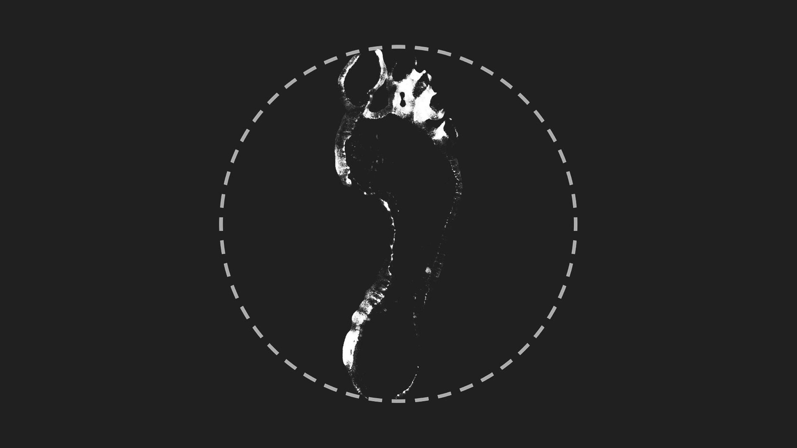Media 1 for listing Foot Print