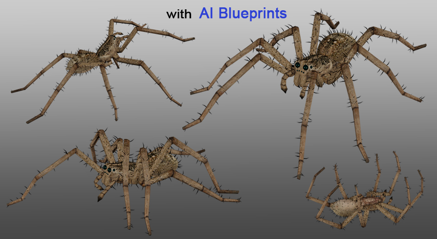Midas Spider Medhue Wolf Spider | Fab
