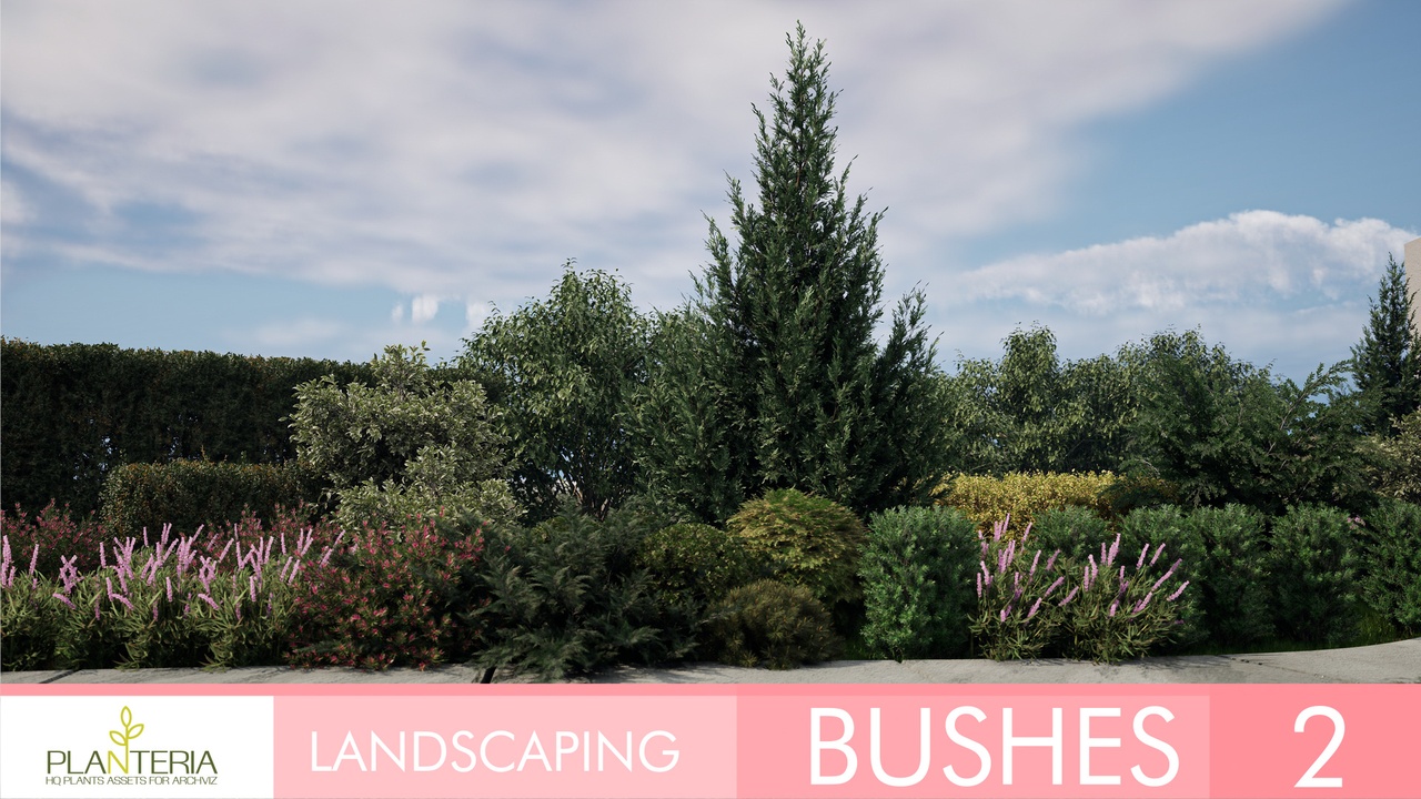 Media 1 for listing Landscaping Bushes 2
